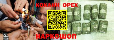 прущие грибы Пушкино