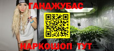 прущие грибы Пушкино