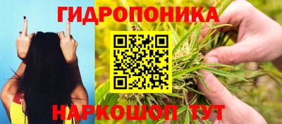 Альфа ПВП Пугачёв