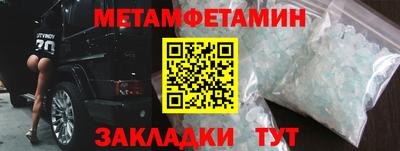 прущие грибы Пушкино