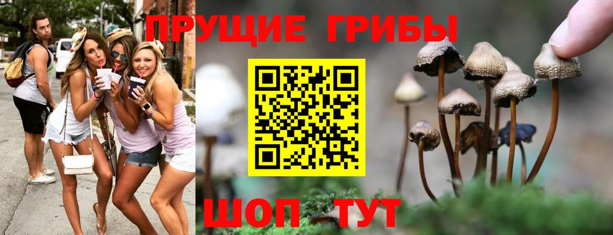 Павловский Посад  Галлюциногенные грибы Psilocybe  Псилоцибиновые грибы прущие грибы  Вход с VPN 